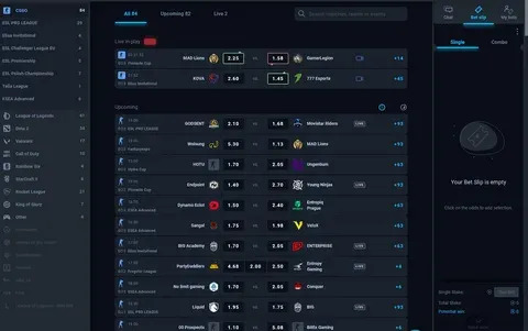 código promocional 1xbet 2022 argentina 