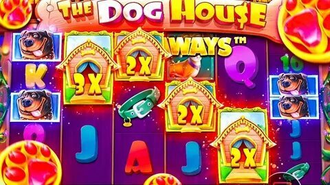 dog star soft 